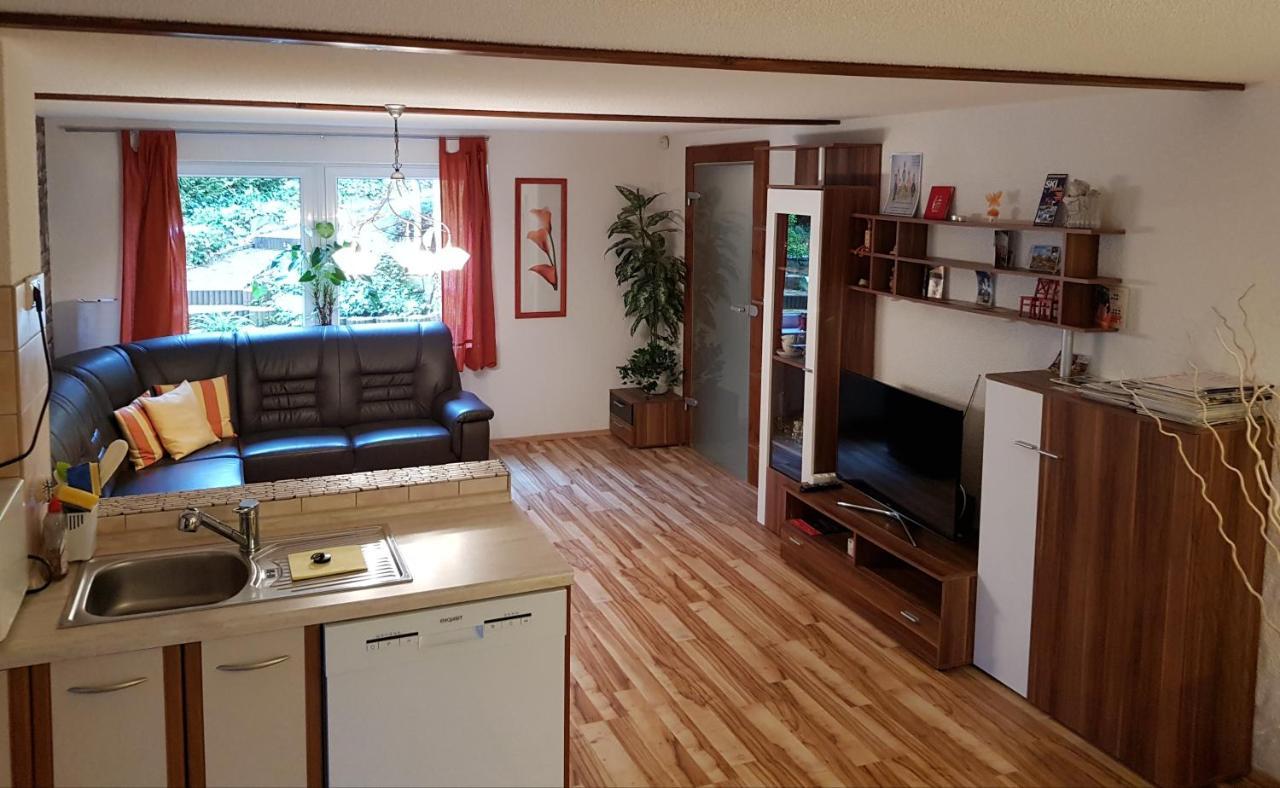 Ferienwohnung Haehnert 施瓦岑贝格 外观 照片